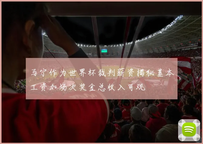 马宁作为世界杯裁判薪资揭秘基本工资加场次奖金总收入可观