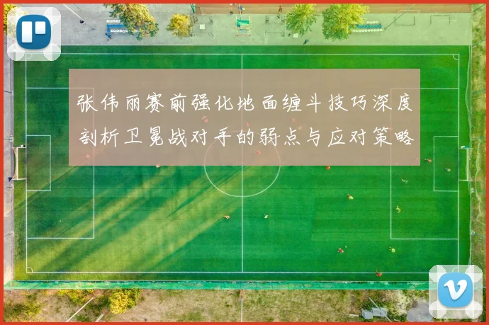 张伟丽赛前强化地面缠斗技巧深度剖析卫冕战对手的弱点与应对策略